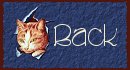 back.jpg (4438 bytes)