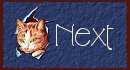 next.jpg (4331 bytes)