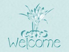 welcome.jpg (7423 bytes)