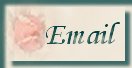 email.jpg (3230 bytes)